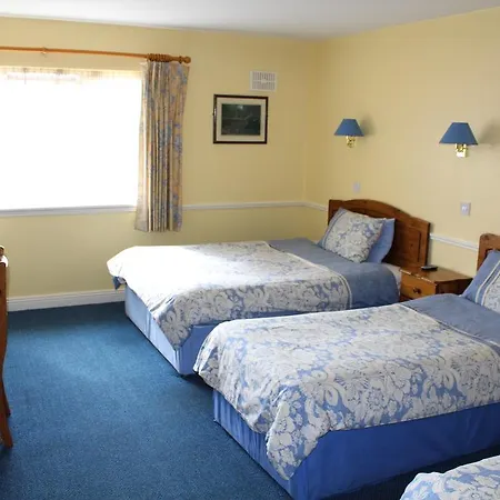 Carlow Guesthouse *